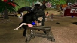 Beast Gone Wild