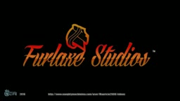 Furlaxe Studios: Message to the fans (Important)