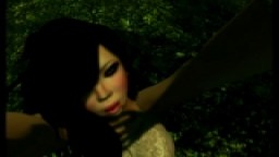Lost in the Woods
